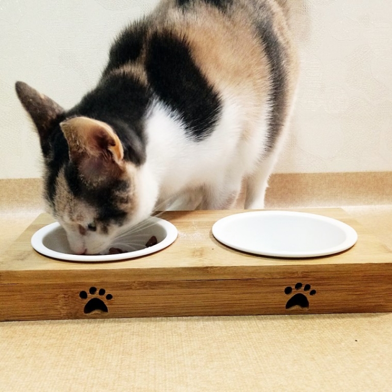 강아지 고양이 도자기 사료 2구 밥그릇 물그릇 대나무 원목식탁